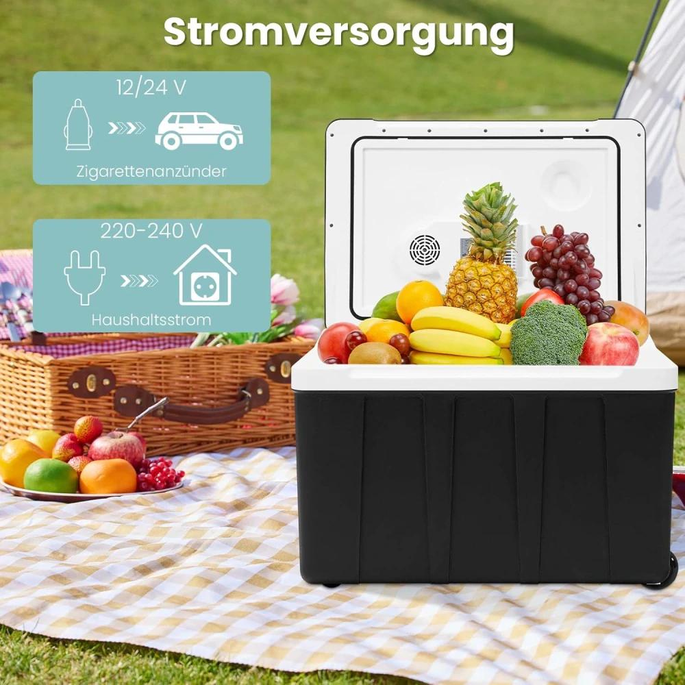 Chladicí box WOLTU, termoelektrická mini lednička, 50L